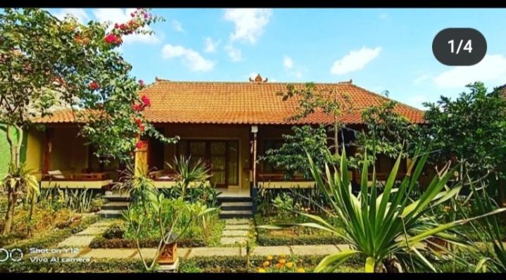 Pomelo Guest House Ubud  Luaran gambar